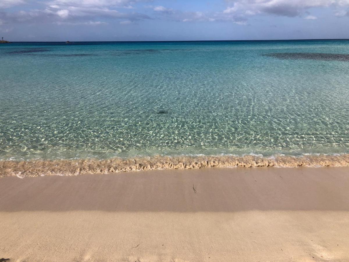 Casetta Calamancina سان فيتو لو كابو المظهر الخارجي الصورة