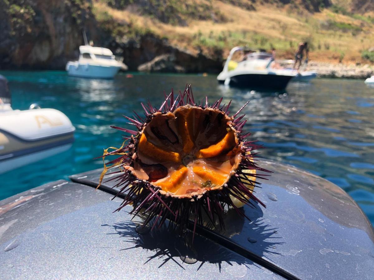 Casetta Calamancina سان فيتو لو كابو المظهر الخارجي الصورة
